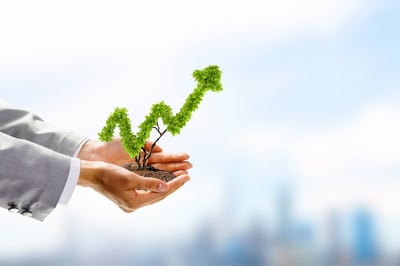 Image of human hands holding plant shaped like arrow-2