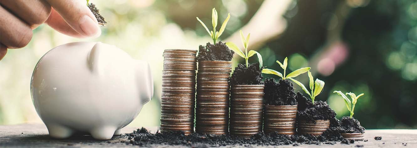 A piggy bank sits next to a row of stacked coins with plants sprouting from the top of each