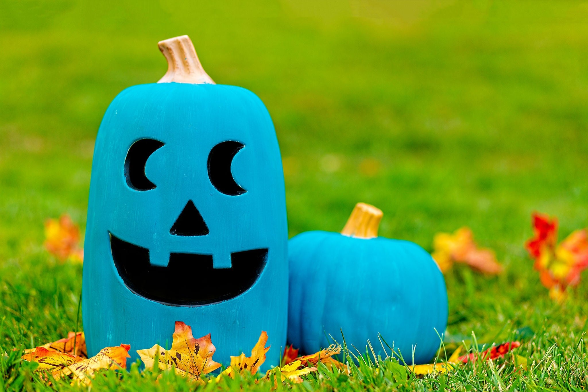 Participate in the Teal Pumpkin Project this Halloween