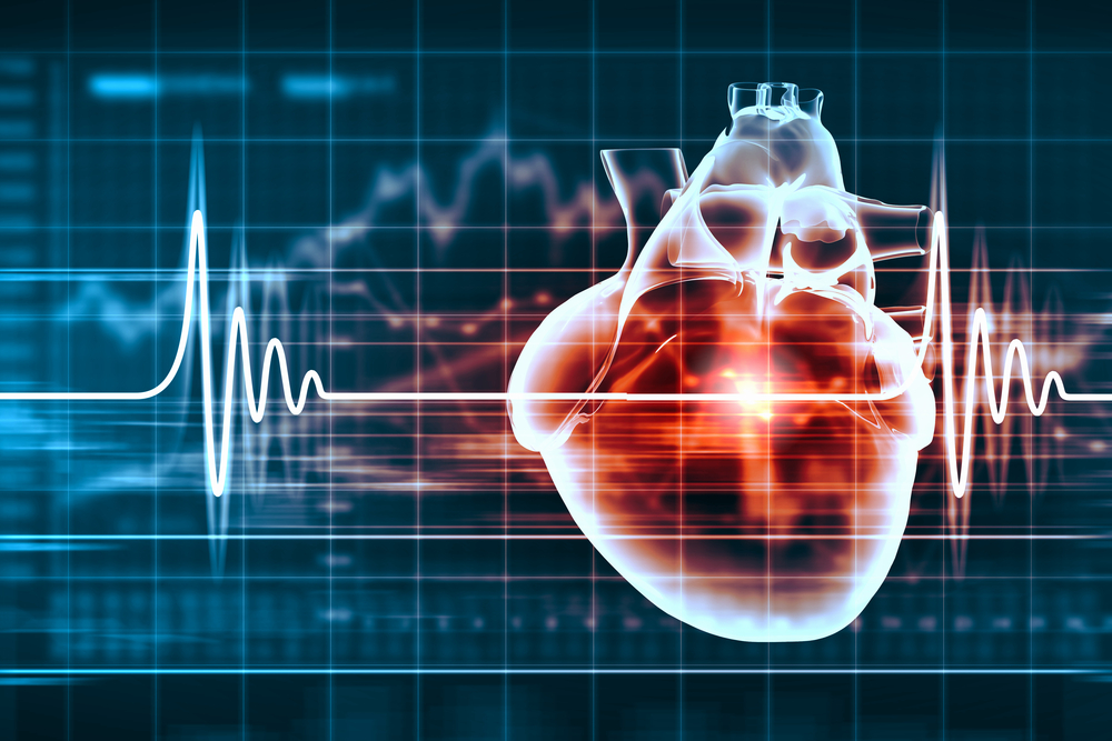 What is Heart Rate Variability, and Why Does It Matter?